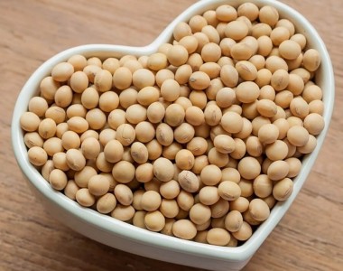 大豆与心脏健康