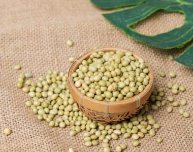 非转基因大豆-未来的食品